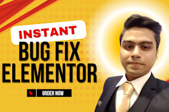 fix elementor bugs, errors, responsive design, compatibility, and CSS problems