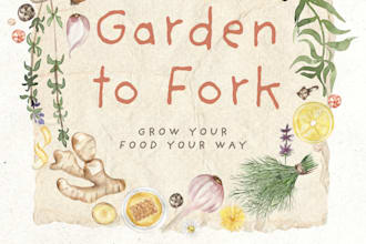 design and illustrate your cookbook cover