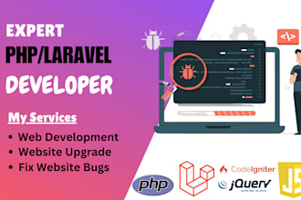 develop, fix, and optimize custom php and laravel web applications