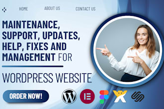provide wordpress website maintenence, monthly update, support, help, management