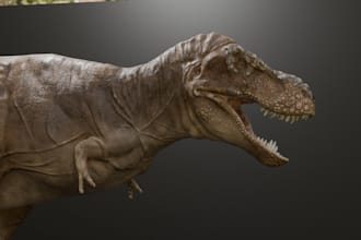create awesome creature for games or vfx