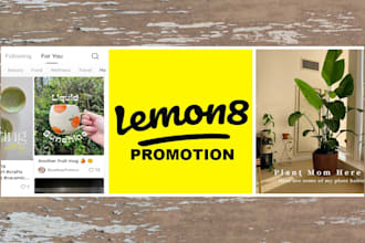 do lemon8 marketing for organic growth or promote followers for your business