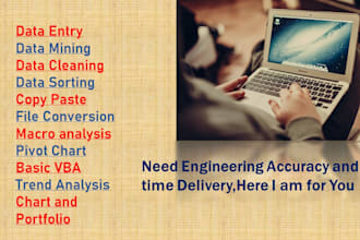 do data related task for you with engineering accuracy