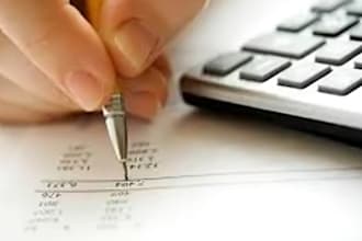 be the accountant, tax consultant, and financial advisor for your business