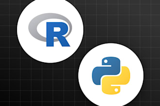 offer professional python  and r programming for data science