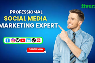 be your expert social media marketing manager