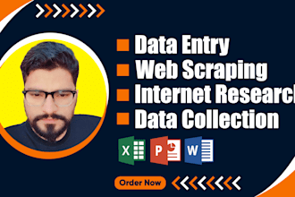 do correct data entry, web scrapping, typing work and copy paste