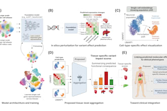 create scientific illustrations and medical figures