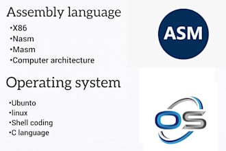 do assembly language and operating systems  projects