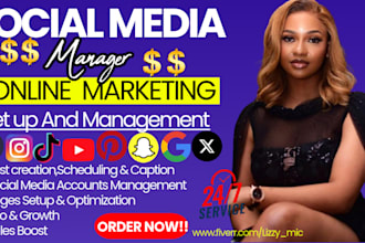 setup, manage complete social media marketing for online business