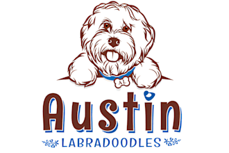 make modern pet, dog, cat, animal logo and any graphics design