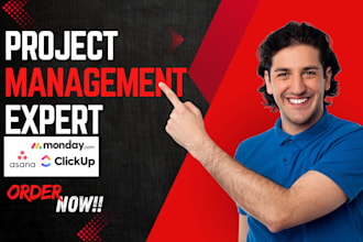 setup asana crm expert project management clickup monday com trello consultant
