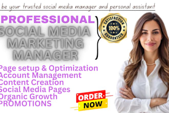 be your social media marketing manager, personal assistant instagram promotion