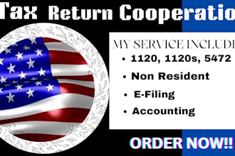 prepare and efile US tax return as US enrolled agent