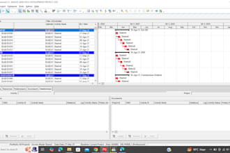 do primavera p6 scheduling and project management services
