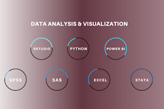 do statistical data analysis with spss, rstudio, stata, sas,power bi and excel