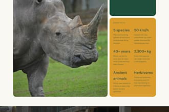 build a responsive website