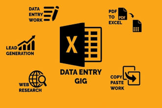 do microsoft excel data entry job or copy pasting for you