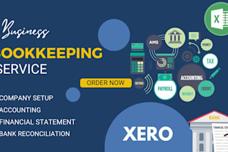 do company set up, bank reconciliation and manage bookkeeping in xero