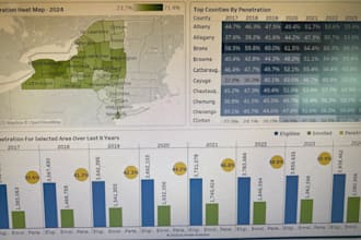 professional power bi and tableau dashboards