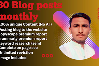 write 30 SEO blog posts articles monthly with images