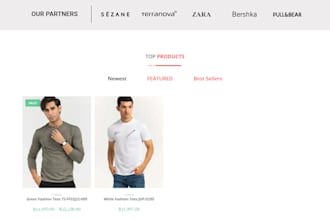 build professional wordpress ecommerce store