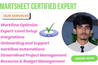 setup smartsheet, do automation, report and dashboard setup in smartsheet
