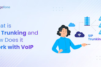 create sip trunk configuration, bulk sms, call, spoof, api, voip app
