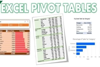 do vlookup, pivot tables, and data cleaning services on excel