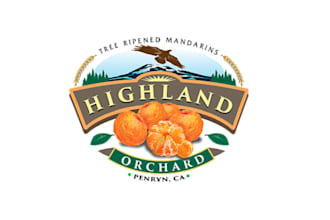 unique modern fruit logo design for you