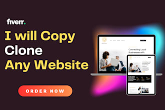 copy clone website or duplicate website professionally