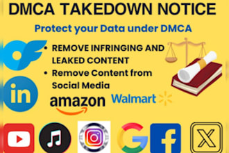 takedown report to remove content from facebook,tiktok,reddit,insta,youtube dmca
