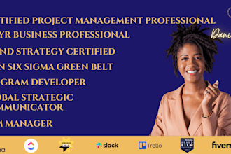 provide project management consulting and execution strategy