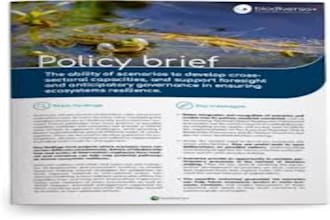 do urgent policy briefs, research, and issue briefs