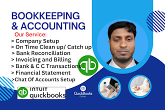 do company setup, catch up, clean up, and bookkeeping in quickbooks online