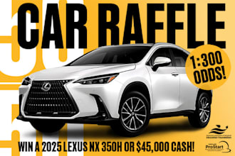 build a professional raffle ticket and competition website