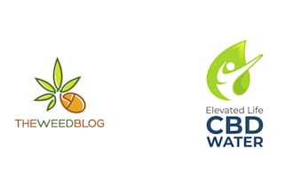 create a unique cannabis weed logo design