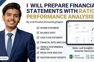 prepare financial statements with ratio and performance analysis