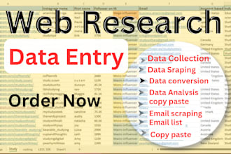 do data entry, web research, copy paste, data collection and excel data entry