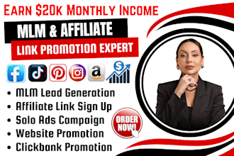 set up email campaigns, affiliate marketing, MLM leads, solo ads, link promotion