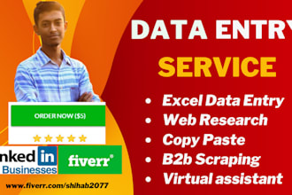 data entry ninja quick, accurate, and reliable