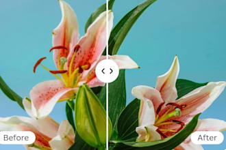 convert your image normal to HD quality