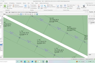design water supply, sewerage and stormwater drainage  professional engineer