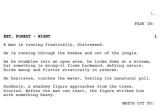 write compelling script for short films and documentaries