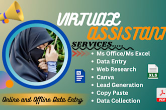 provide virtual assistant, data entry work with accuracy