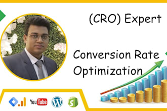 audit and optimize your website with expert cro strategies to maximize ROI