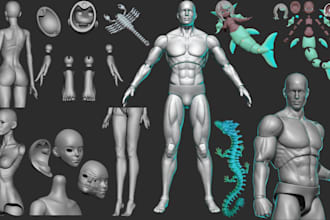 sculpt 3d articulated model 3d bjd 3d flexi model action figure toys 3d printing
