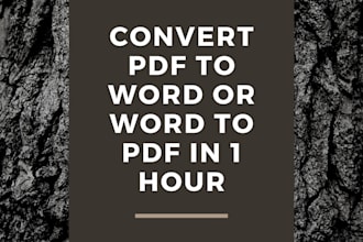 convert your pdf to word or word to pdf in 1 hour