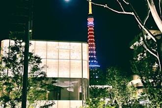create a custom japan travel plan with hidden local spots