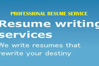 write, edit, and deliver an updated executive professional CV resume